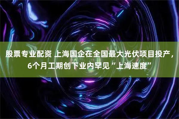 股票专业配资 上海国企在全国最大光伏项目投产，6个月工期创下业内罕见“上海速度”